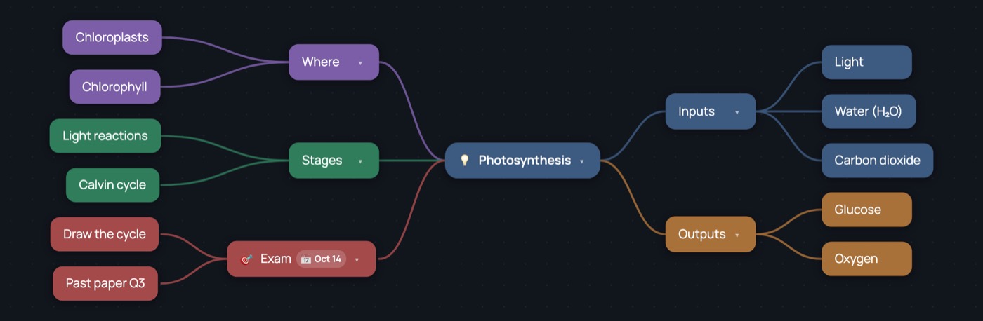 A study mind map in Dendra about photosynthesis, with branches for inputs,
			outputs, stages, where it happens and the exam date